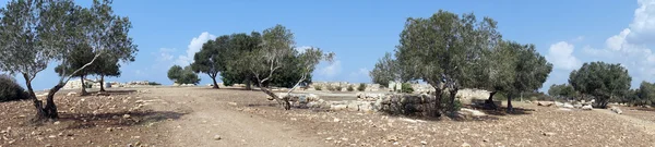 Ancient ruins — Stock Photo, Image