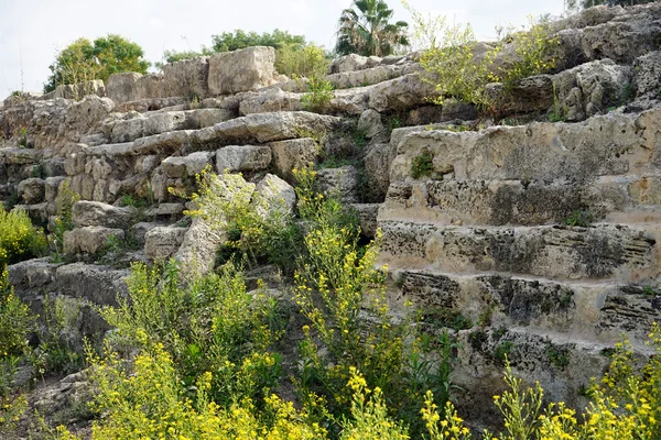 Rovine e fiori — Foto Stock