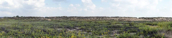 Sand dunes — Stock Photo, Image