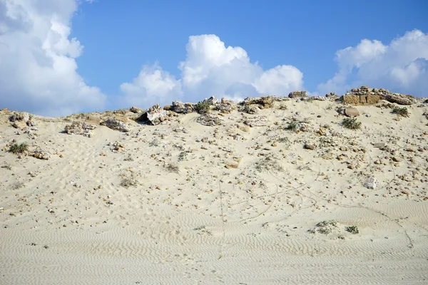 Písečné duny — Stock fotografie