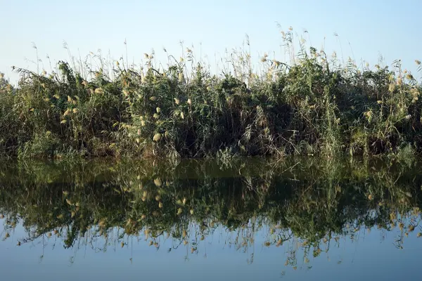 Reflexion — Stockfoto