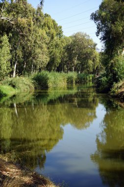 Yarkon Nehri