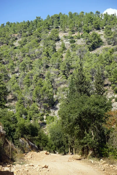 Judäa mountain nationalpark — Stockfoto