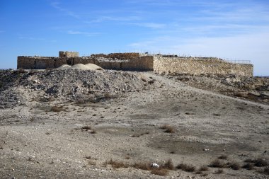 Tel Arad