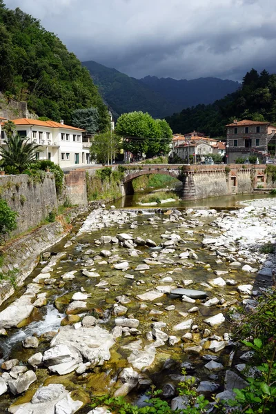 Rivier en bridge — Stockfoto