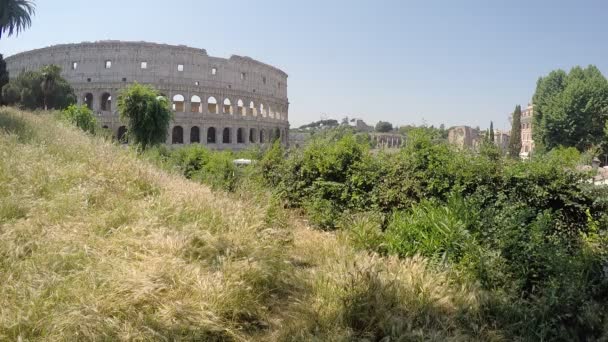 Colosseo — Video Stock