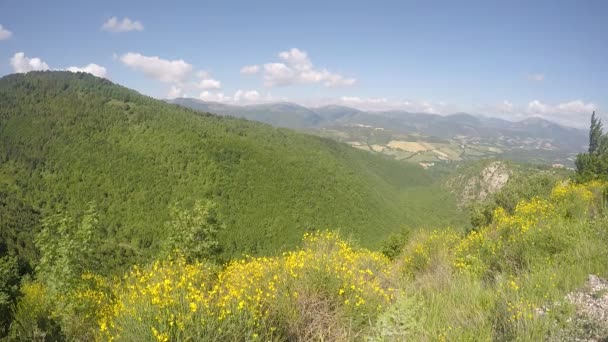 Όρος — Αρχείο Βίντεο