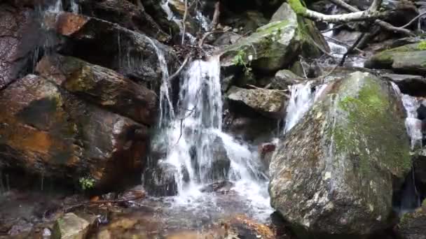 Pequena cachoeira em Ticino — Vídeo de Stock
