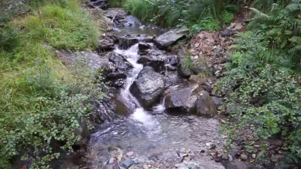 River in Swiss Alps — Stock Video