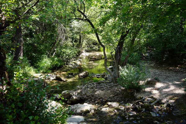 Río y sendero — Foto de Stock