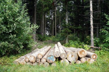 yığın günlükleri