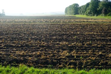 Sürülmüş arazi ve ağaçlar Swabia, Almanya