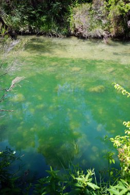 Caramy Tourves, Fransa Nehri'nin su üzerine düşünceler