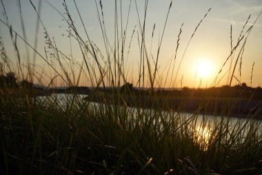 Yeşil çimen, kanal ve günbatımı Fransa
