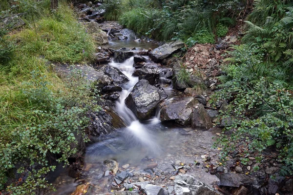 Petite rivière dans les Alpes suisses — Photo