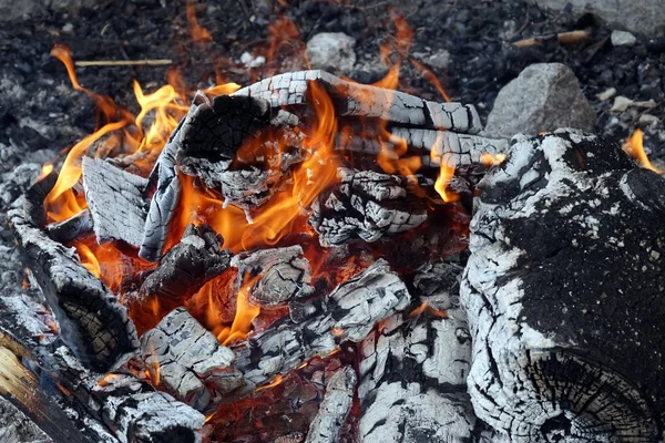 Bonfire on the camp ground — Stock Photo, Image