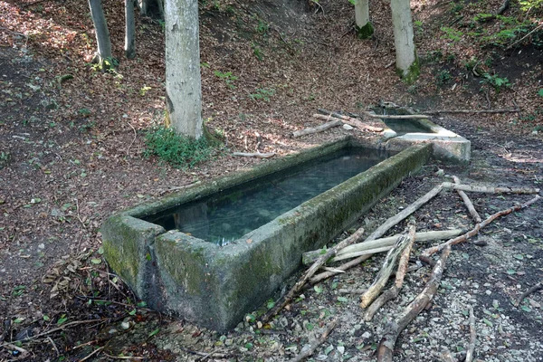 Betonu basenu i wiosna woda — Zdjęcie stockowe