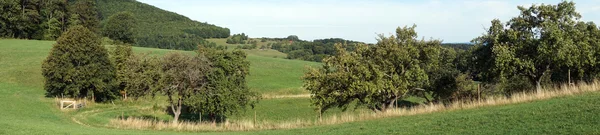 Orchard i gröna dalen — Stockfoto