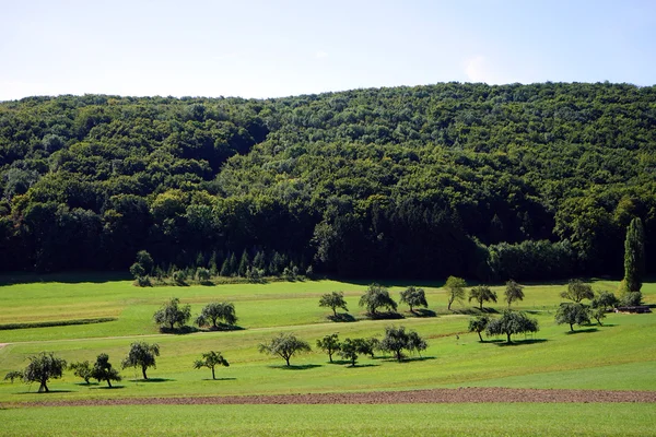 Grünes Tal auf der Schwäbischen Alb — Stockfoto