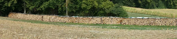 Long wall of firewood on the forest edge in Swabia, Germany — Stock Photo, Image