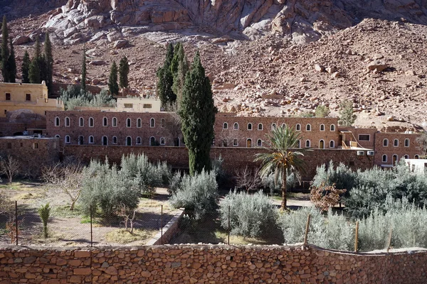 Garden in monastery — Stock Photo, Image