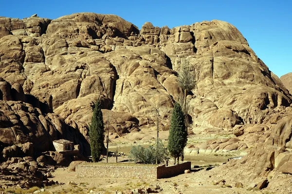Petite oasis avec clôture en pierre sur le mont Sinaï en Egypte — Photo