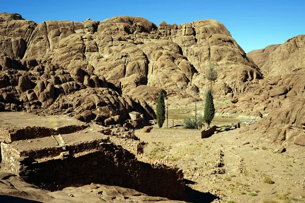 Edificio de piedra y oasis — Foto de Stock