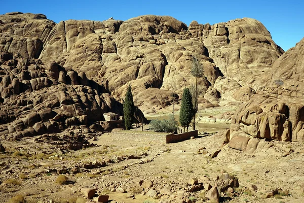 Liten oas på berget Sinai i Egypten — Stockfoto