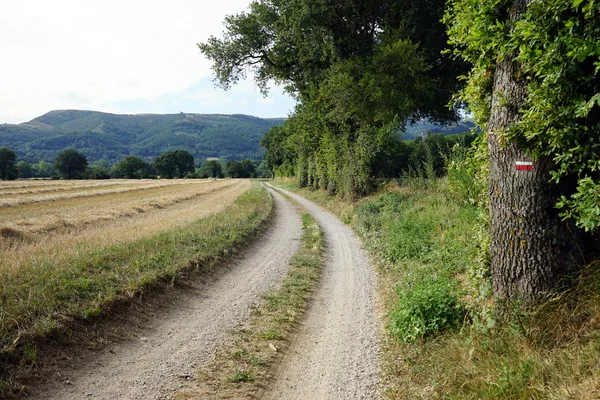 Pista y campo — Foto de Stock