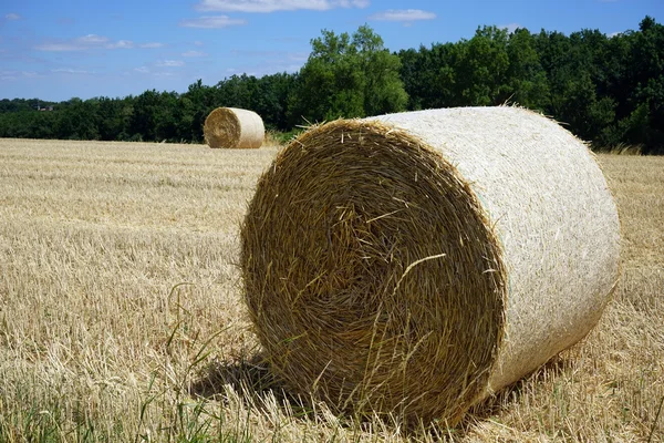 Campo de fazenda Stubble na França — Fotografia de Stock