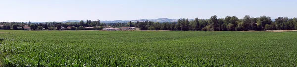 Dorf und Panorama eines grünen Maisfeldes in der Nähe eines Dorfes, Frankreich — Stockfoto