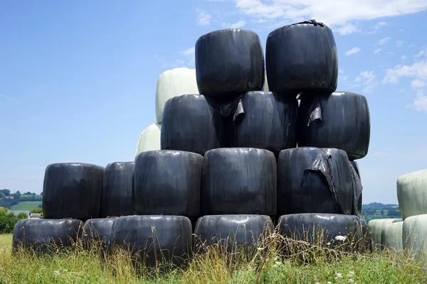 Yığın kaplı plastik rulo