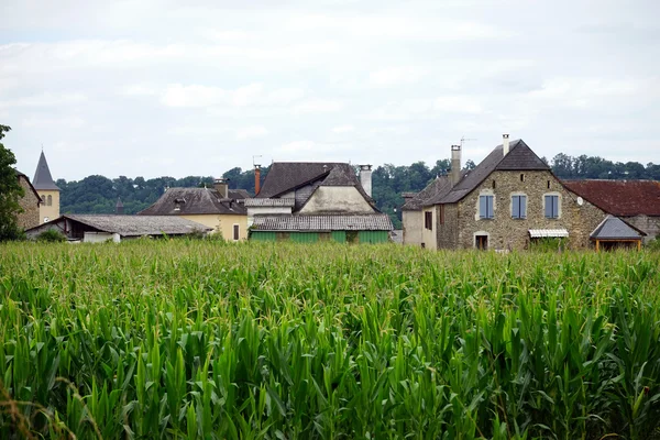 Maisfeld und Dorf in Frankreich — Stockfoto