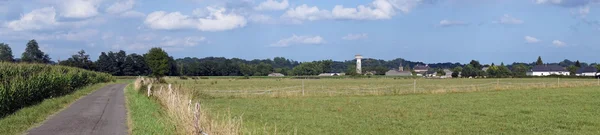 Panorama del campo di mais verde — Foto Stock