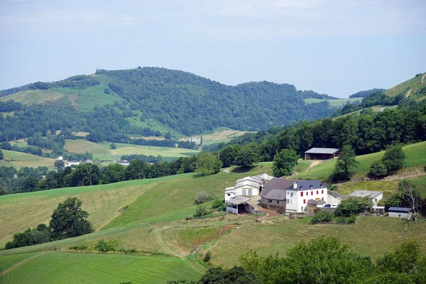 Фермерские дома и амбар рядом с полем — стоковое фото