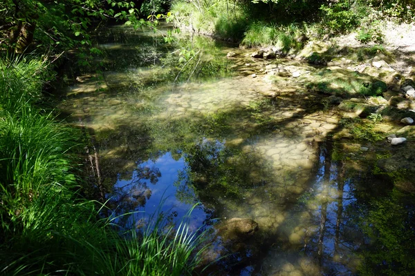 Forest river Caramy in Francia — Foto Stock