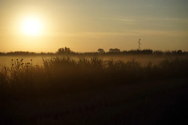 Morgon på fältet gård i Frankrike — Stockfoto