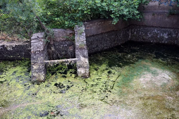 Znečištění vody v konkrétní rybník — Stock fotografie