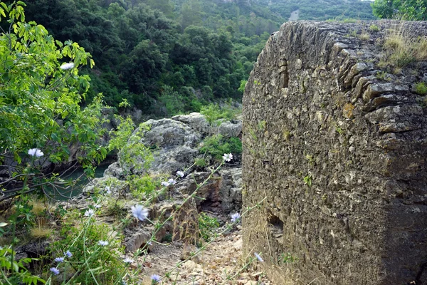 Eski taş bina ve Hérault gorges harabelerde — Stok fotoğraf