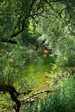 Tekneler ve ağaçlar