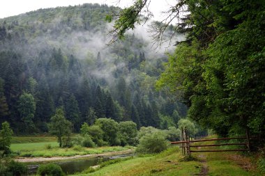Doubs Nehri yakınında izinde ahşap kapı