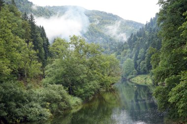 Bulut ve orman Nehri yakınında