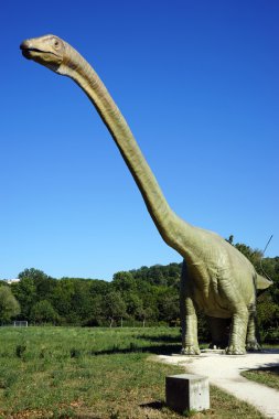 Seismosaurus Botanik Bahçesi içinde.