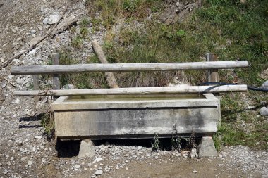 içme suyu ile bahar