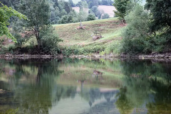 Reflexiones sobre la superficie del río Doubs — Foto de Stock