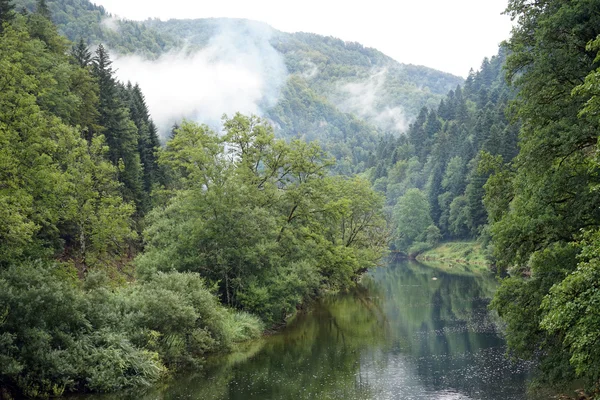Nube y bosque cerca del río — Foto de Stock