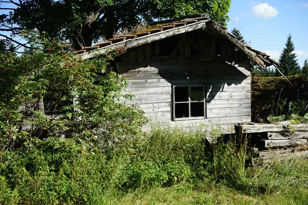 Casa de madeira sob árvore e grama verde na Suíça — Fotografia de Stock