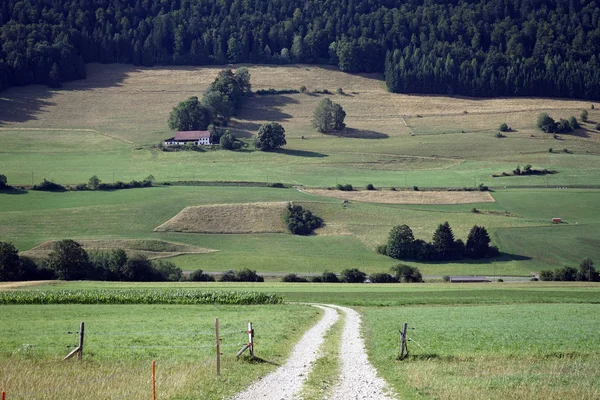 Silnice v údolí — Stock fotografie