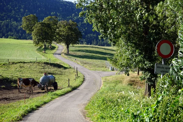 Carretera, señal, vaca y tanque en Suiza — Foto de Stock