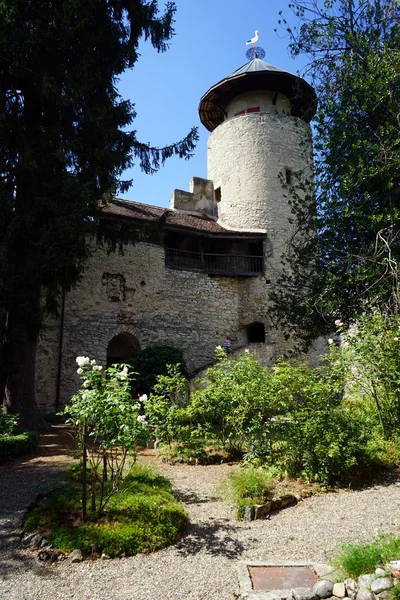 En el castillo — Foto de Stock